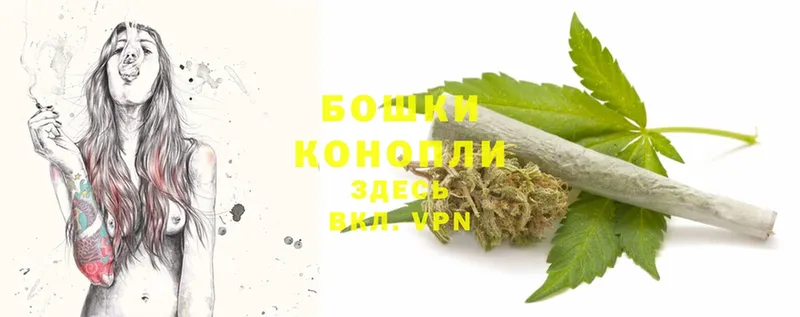 Шишки марихуана White Widow  Новомосковск 